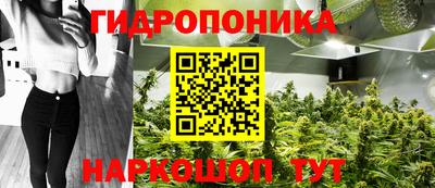 ПСИЛОЦИБИНОВЫЕ ГРИБЫ Балахна