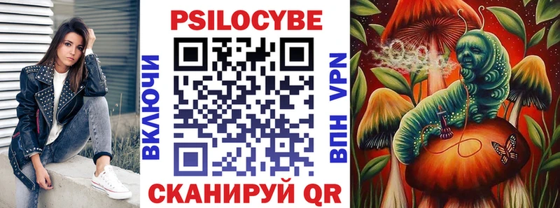 KRAKEN ссылки  Фрязино  Галлюциногенные грибы Psilocybe  продажа наркотиков 