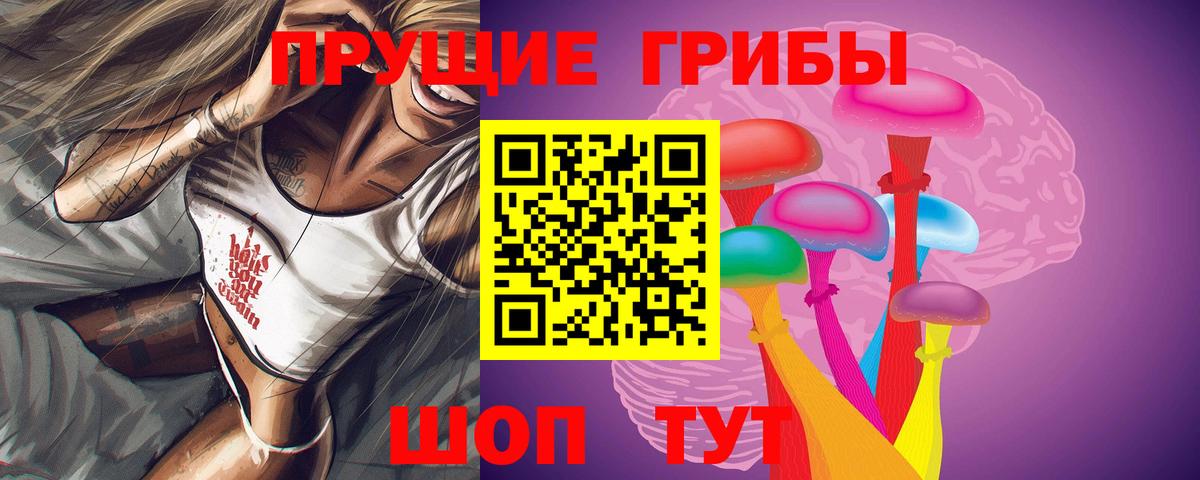 Галлюциногенные грибы Cubensis  как найти закладки  Фрязино 